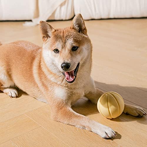 Ipetboom šteňa hračky šteňa hryzenie hračky pes žuť hračka pes liečiť gule pes piskľavé gule šteňa hryzenie žuť